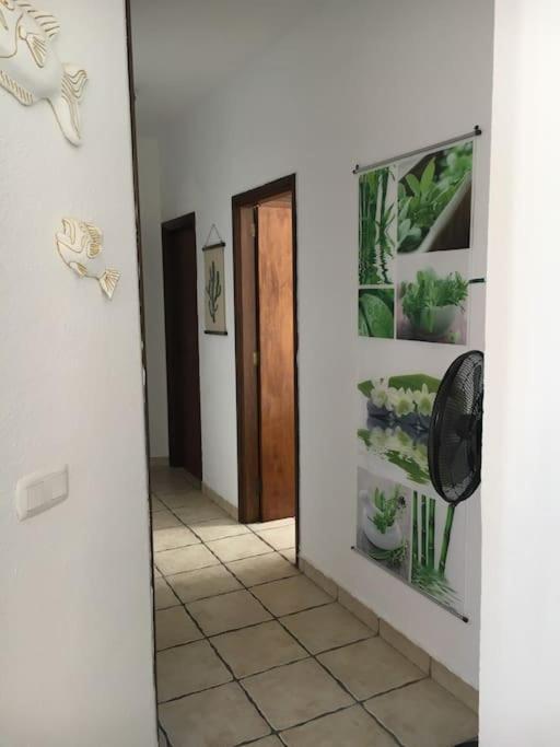 Apartamento Playero Privado Wifi- Morrojable 莫罗德哈布雷 外观 照片